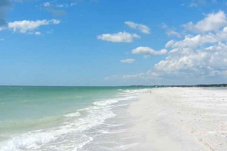 7 Top Beaches to Explore in Southwest Florida